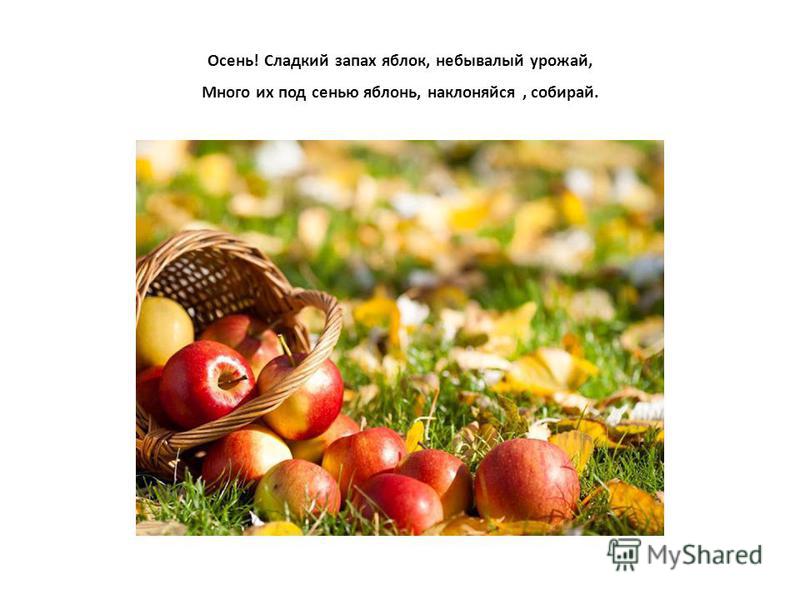 Стихи про осень для детей про урожай: Стихи на праздник урожая в детском саду