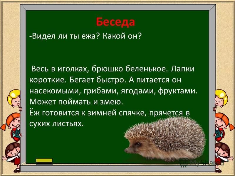 Еж загадка: Загадки о еже для детей