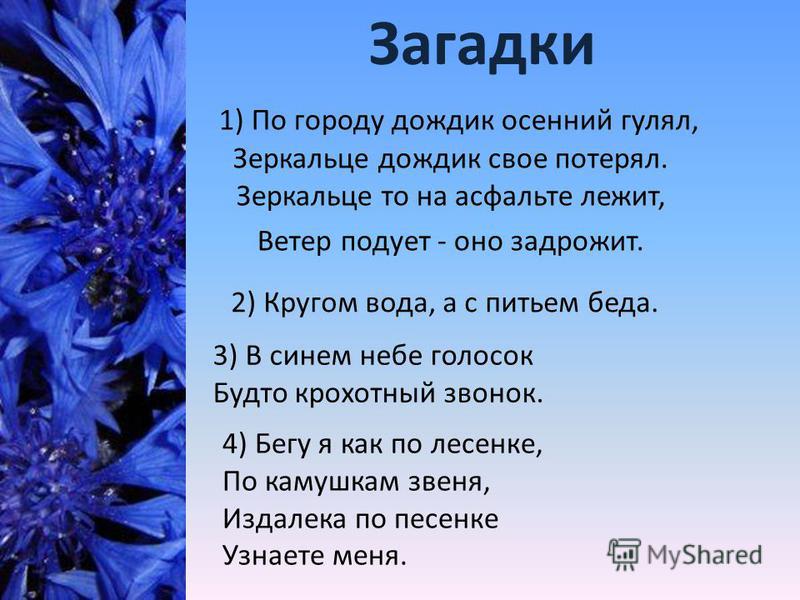 Что это кругом вода а с питьем беда: Отгадайте загадку кругом вода, а с питьем беда ? Срочно ;​