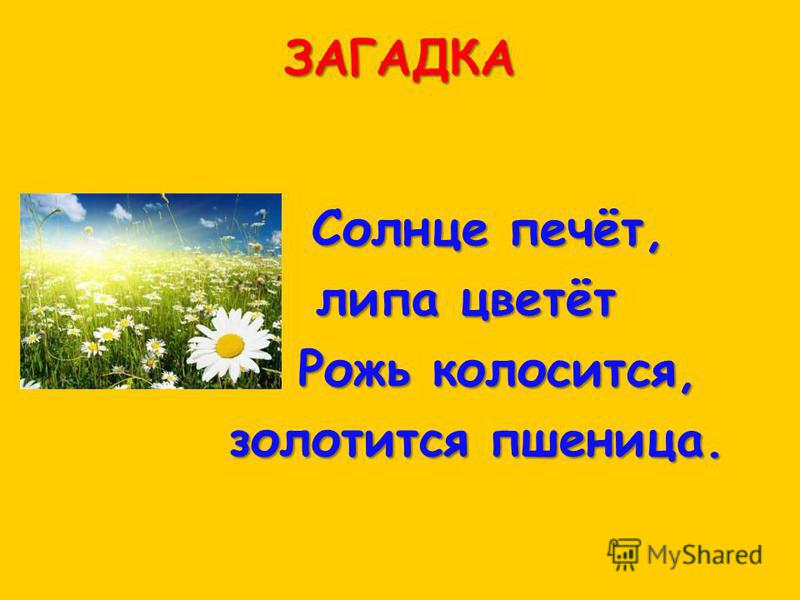 Загадки про солнце для детей: Загадки для детей про лето с ответами