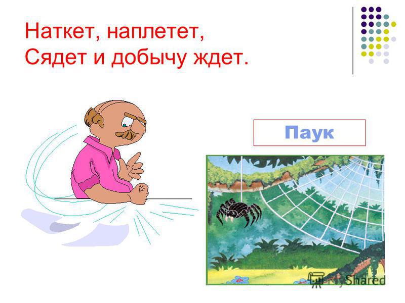 Наткет наплетет сядет: Отгадайте загадки
1. Наткет, наплетет, сядет и добычи ждет.
2.Хоть хвали, хоть ругай, а