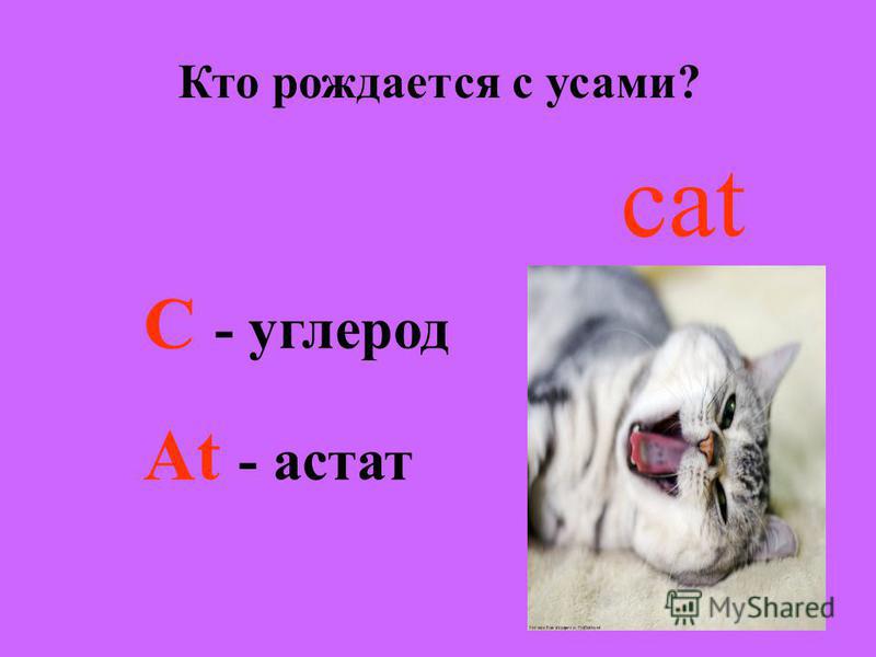 Кто родился с усами но с закрытыми глазами ответ: Напиши слова-отгадки. На какой вопрос они отвечают и что обозначают? В скобках перед ними напиши вопрос, на который они отвечают. Кто зимой холодной