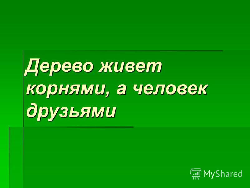 Дерево крепко корнями а человек друзьями: Пословица. Дерево крепко корнями, а человек....