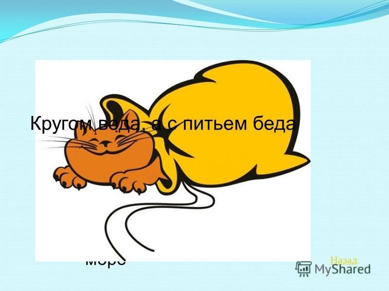 Что это кругом вода а с питьем беда: Отгадайте загадку кругом вода, а с питьем беда ? Срочно ;​