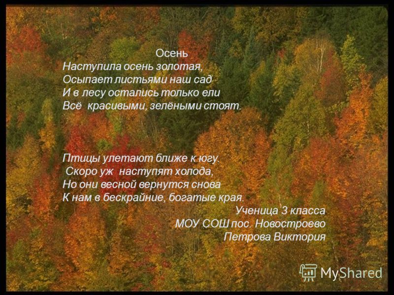 Стихи про осень красивую осень: Красивые душевные стихи про осень современных поэтов