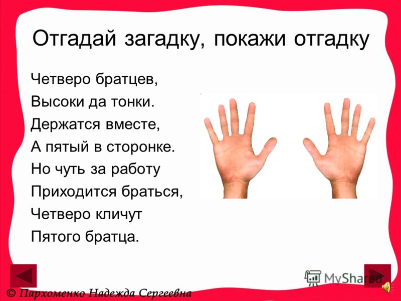 Загадки с ответами про части тела человека: Загадки про руки для детей