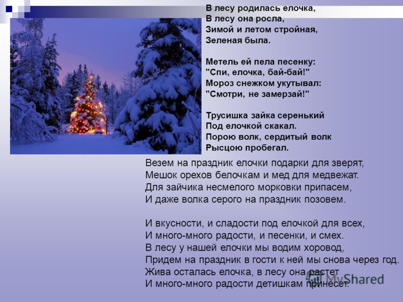 Песня в лесу родилась: Песня В лесу родилась елочка слушать онлайн и скачать