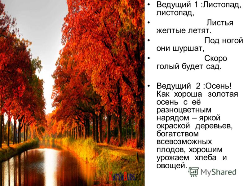 Детский стих про листопад: Стихи про листопад — Стихи, картинки и любовь