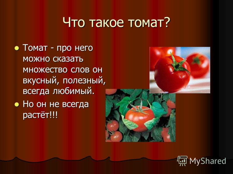 Детские загадки про помидор: Загадки про помидоры для детей (с ответами), загадки помидорах томаты для самых маленьких ребят малышей ребенка школьника 1 2 3 4 5 6 лет класс детсад