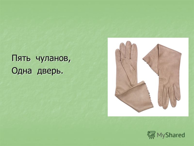 Тема загадки пять чуланов одна дверь ответ: Загадка. Пять чуланов, одна дверь. Что это?