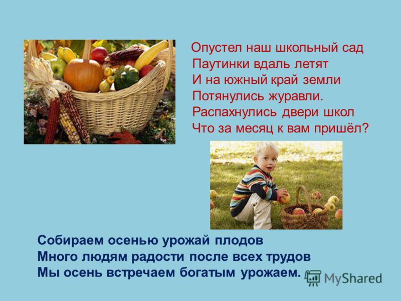 Стихи про урожай осенью: Стихи на праздник урожая🥕🥕50 идеальных стихотворений со смыслом