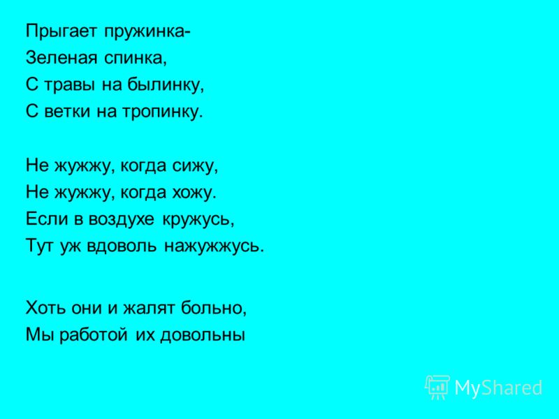 Загадка не жужжу когда сижу не жужжу когда хожу не жужжу когда тружусь: Не жужжу, когда сижу — загадка для детей с ответом