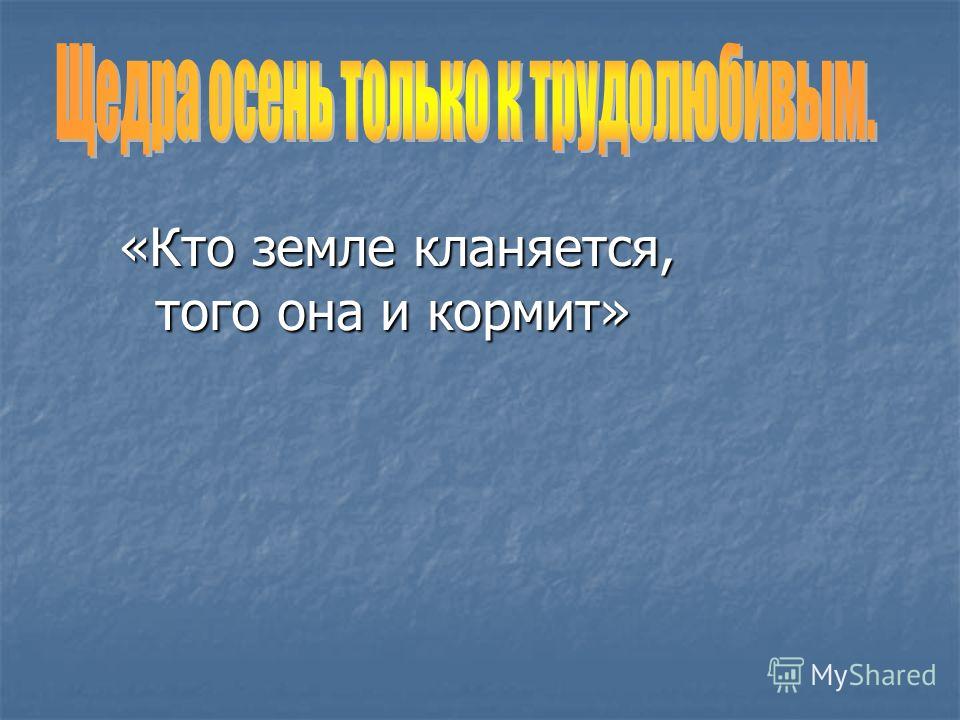 Пословица землю красит а человек: Пословица «Землю красит солнце, а человека труд»: значение, смысл