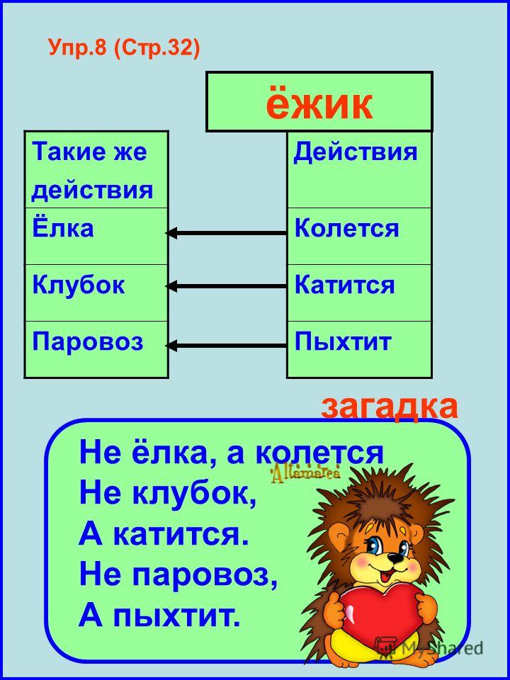 Еж загадка: Загадки о еже для детей