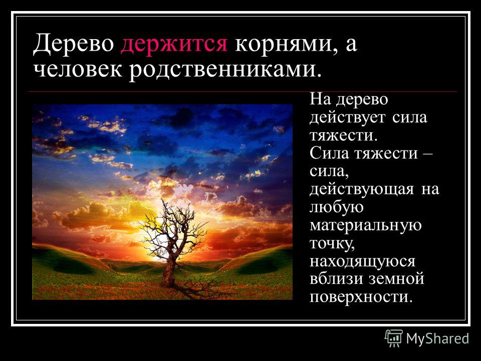 Дерево держится корнями а человек друзьями кто автор пословицы: Автор пословицы. Дерево держится корнями, а человек друзьями.