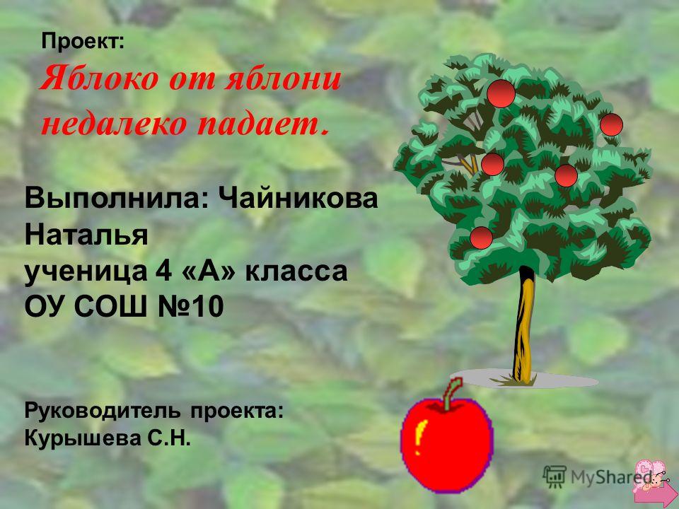 Яблоко от яблони пословицы: Яблоко от яблони недалеко падает: Смысл пословицы, значение