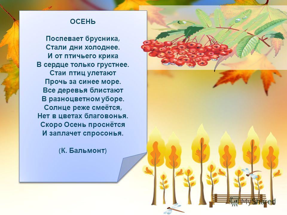 Стихи поспевает брусника стали дни холоднее: Осень («Поспевает брусника…») — Бальмонт. Полный текст стихотворения — Осень («Поспевает брусника…»)