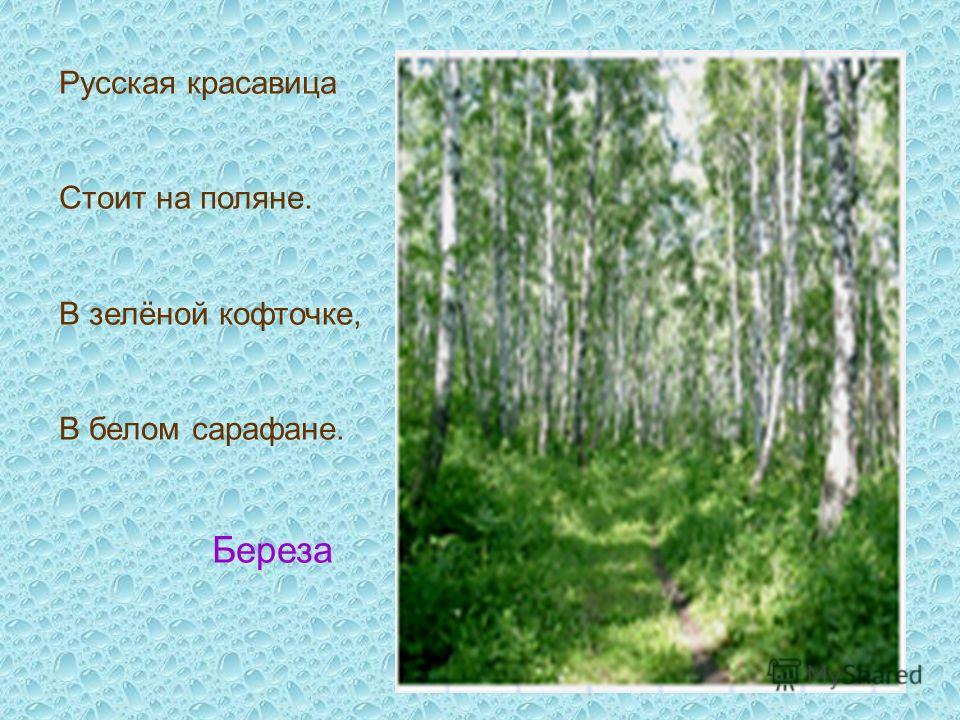 Загадка в белом сарафане встала на поляне ответ: Помогите пожалуйста отгадать загадку.
В белом сарафане
Встала на поляне.
Что это может быть?