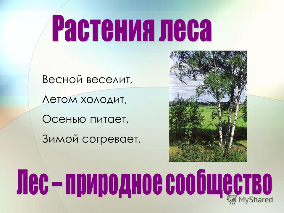 Загадка весной веселит летом холодит осенью питает зимой согревает отгадка: Загадка:Весной веселит,летом холодит,осенью питает,зимой согревает.