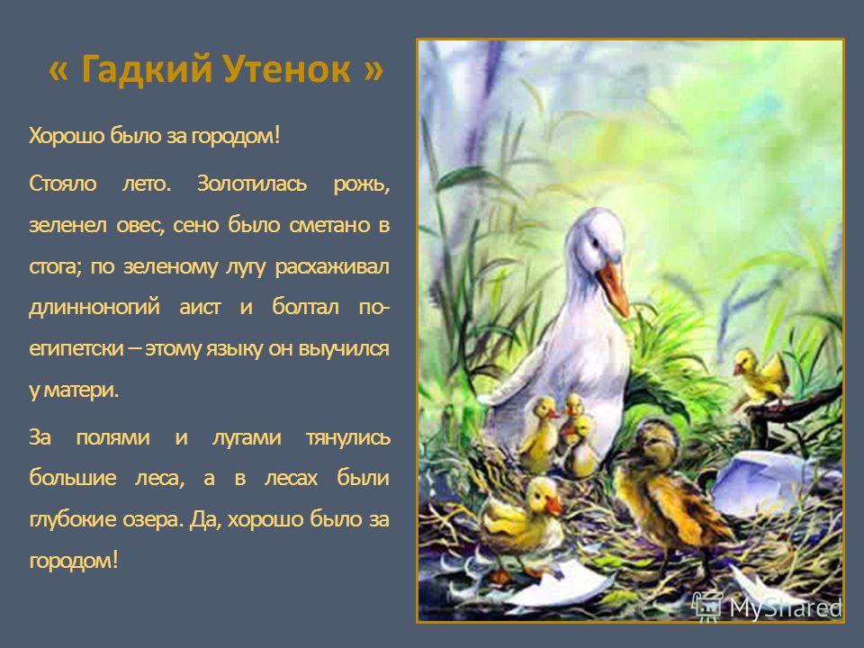 Кто написал гадкого утенка сказка: Сказка Гадкий утенок - Ганс Христиан Андерсен. Читать онлайн.