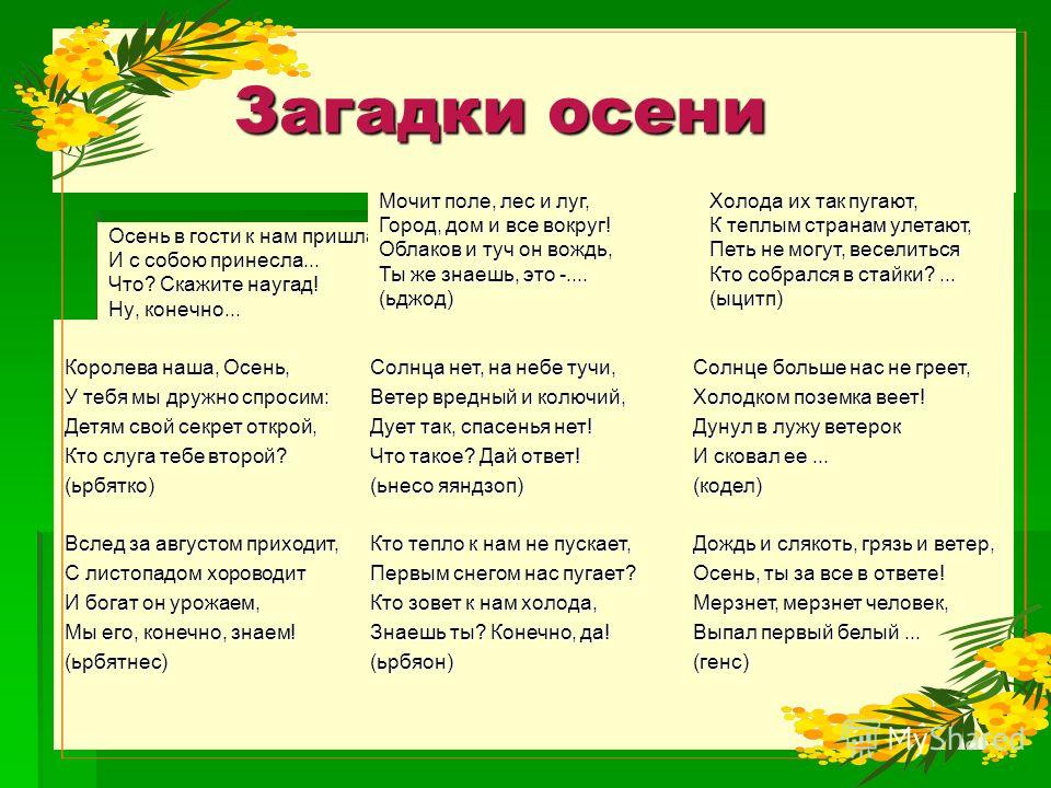 Осенние загадки для 1 класса с ответами: Загадки про осень для школьников с ответами (3-4 класс) 🤓 [Есть ответ]