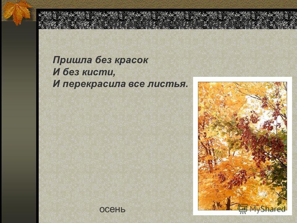 Загадка на отгадку листья: Загадки про листья - Загадки с ответами