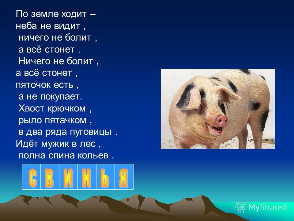 Загадка на небе есть а на земле нет у бабушки две а у дедушки нет: На небе она есть,на земле нет. У бабушки две, у женщины нет. У араба она сзади ,у барана спереди. Что это такое?