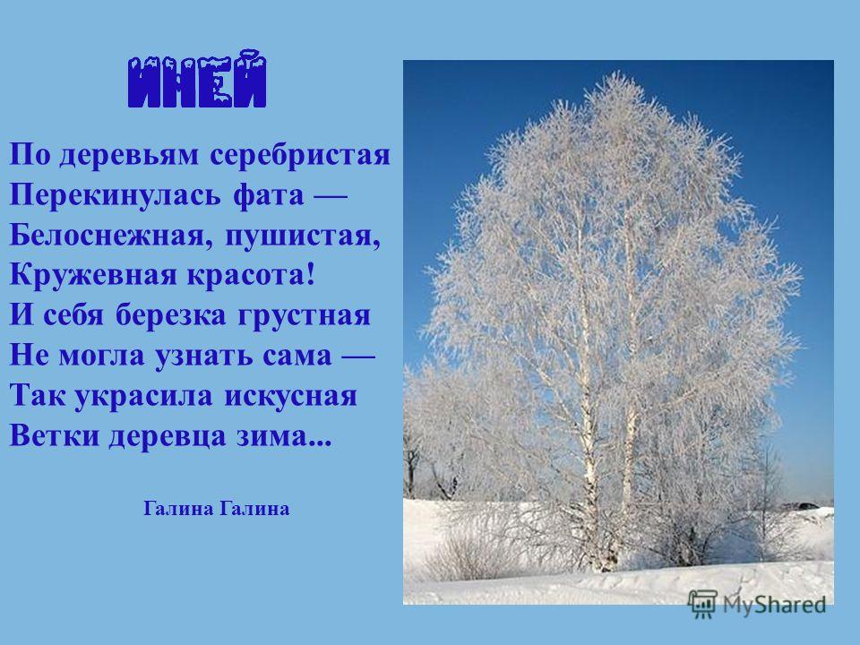 Загадка весной веселит летом холодит осенью питает зимой согревает отгадка: Загадка:Весной веселит,летом холодит,осенью питает,зимой согревает.