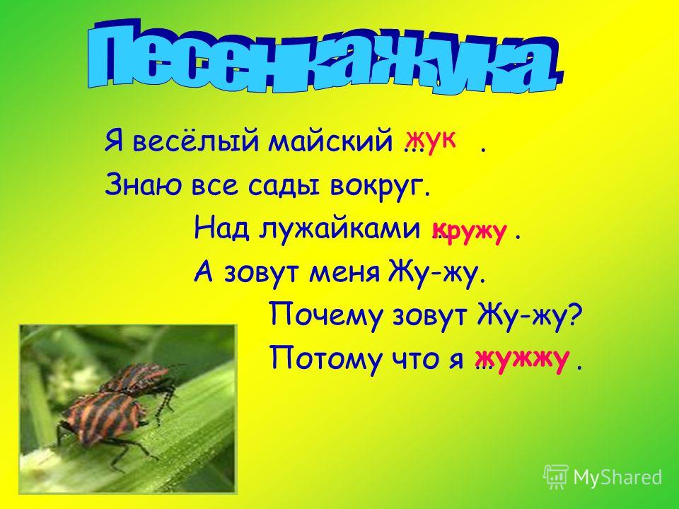 Загадка не жужжу когда сижу не жужжу когда хожу не жужжу когда тружусь: Не жужжу, когда сижу — загадка для детей с ответом