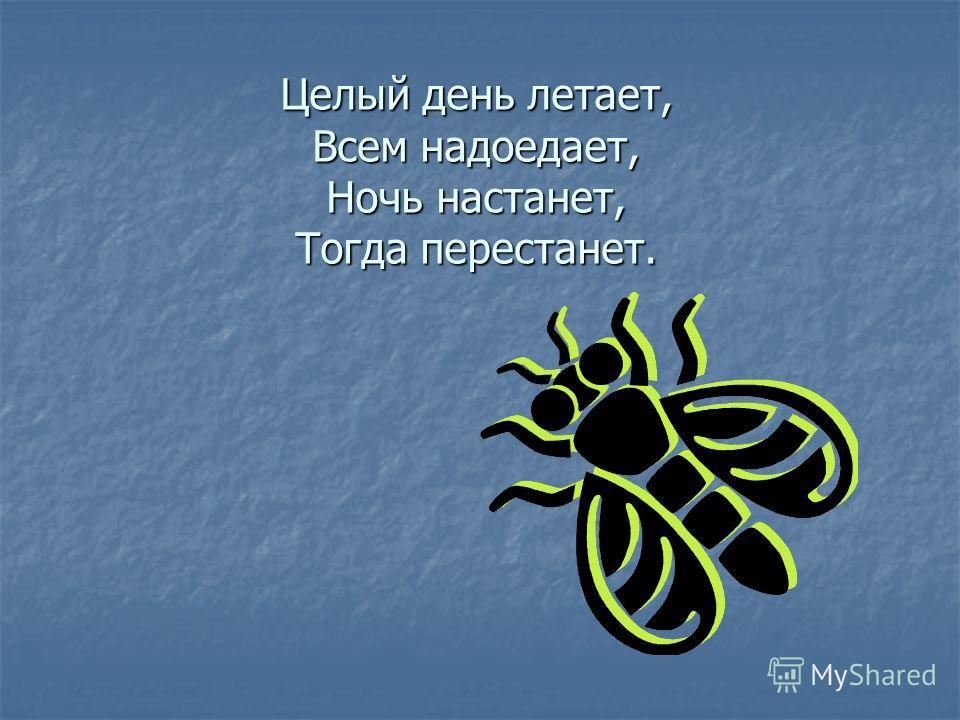 Целый день летает всем надоедает ночь настанет тогда перестанет ответ: Целый день летает, всем надоедает, Ночь настанет...