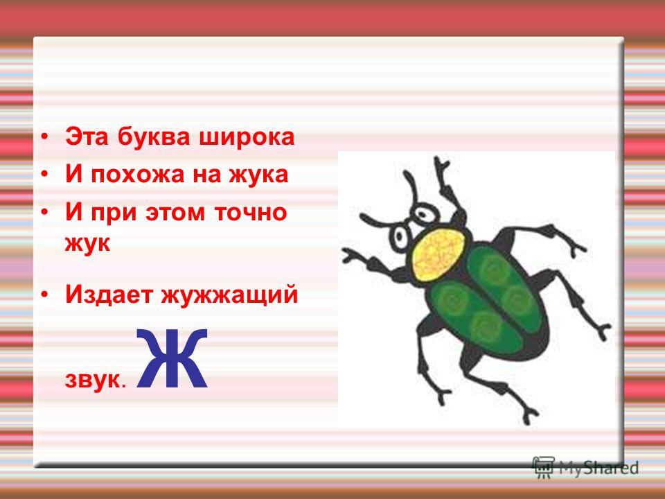 Загадка не жужжу когда сижу не жужжу когда хожу не жужжу когда тружусь: Не жужжу, когда сижу — загадка для детей с ответом