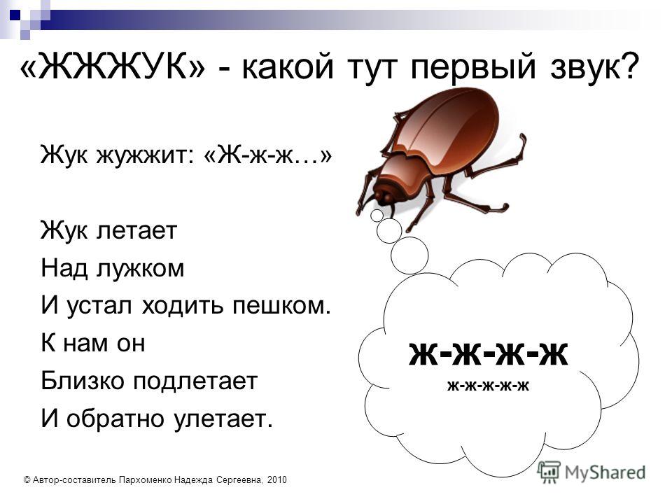 Загадка не жужжу когда сижу не жужжу когда хожу не жужжу когда тружусь: Не жужжу, когда сижу — загадка для детей с ответом