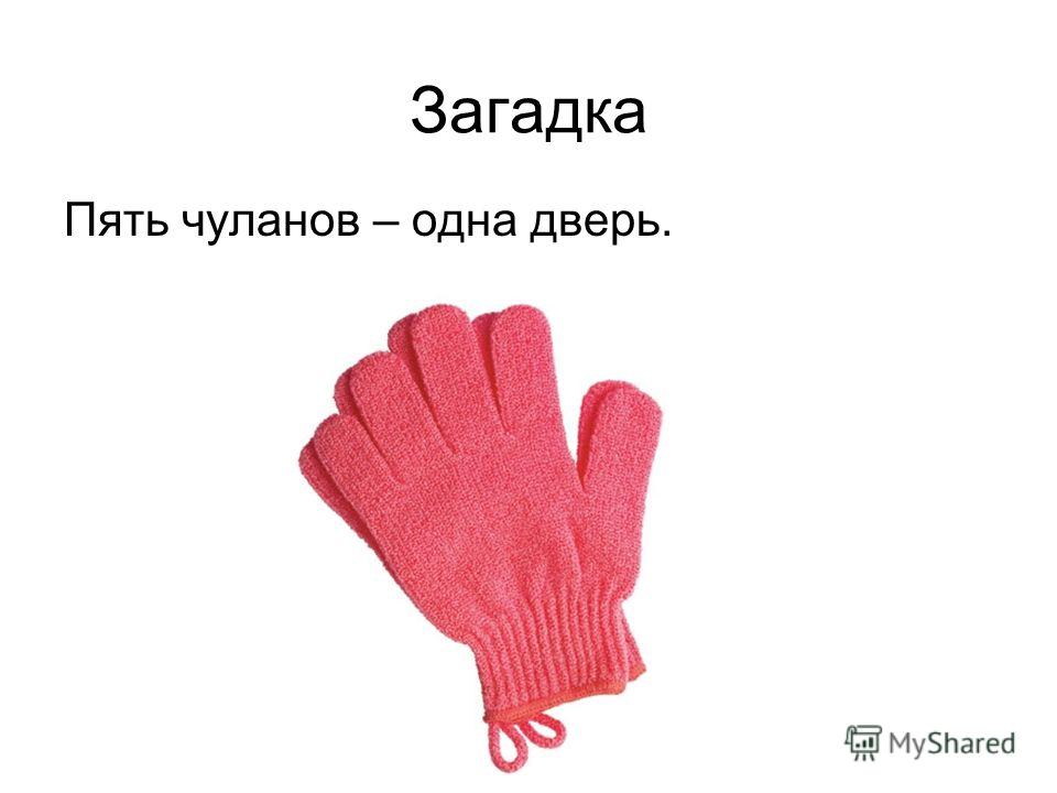 Тема загадки пять чуланов одна дверь ответ: Загадка. Пять чуланов, одна дверь. Что это?