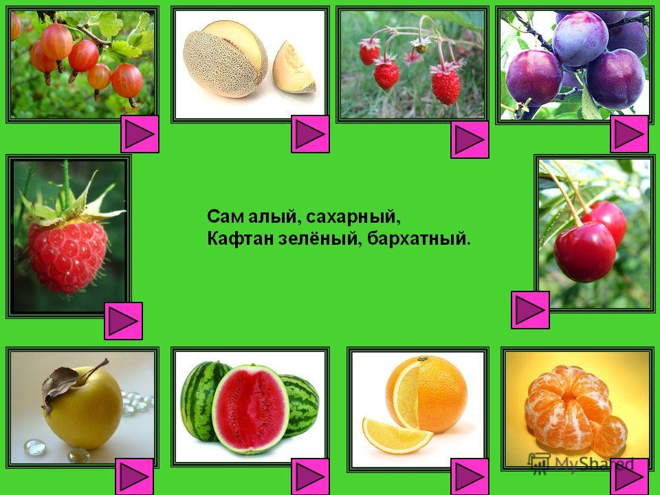 Сам алый сахарный кафтан зеленый бархатный ответ на загадку: «Сам алый сахарный, кафтан зеленый, бархатный» (загадка), 5 букв