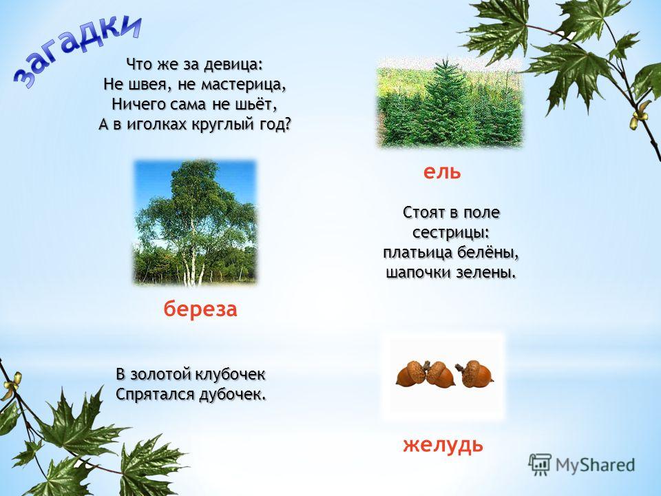 Золотой клубочек спрятался в дубочек: Ответы на кроссворды и сканворды онлайн