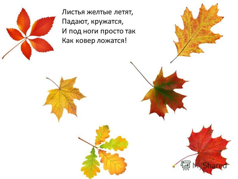 Стих про желтые листья: Стихи про осенние листья | Стихи