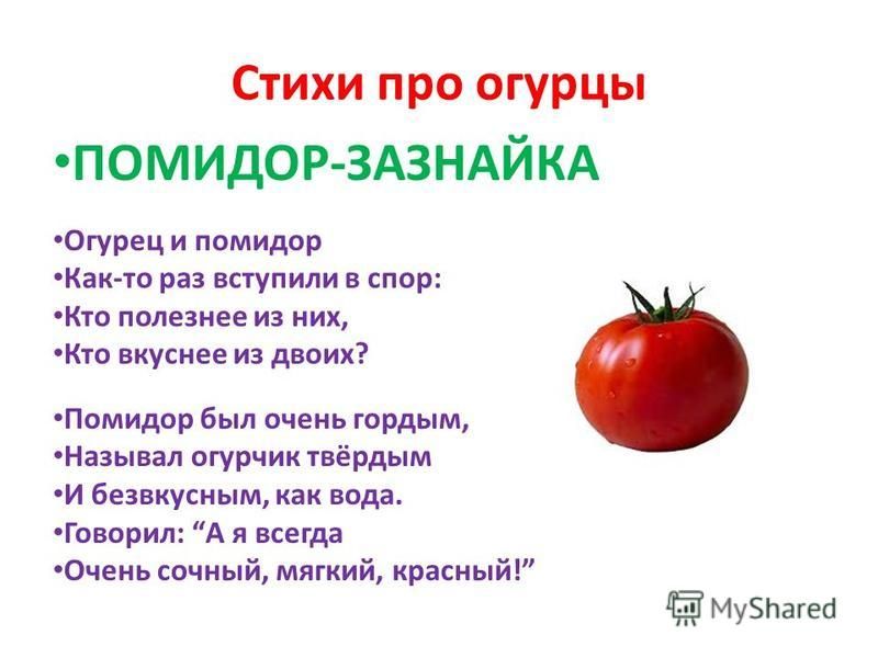 Загадка помидор для детей: Загадки про помидор для детей с ответами
