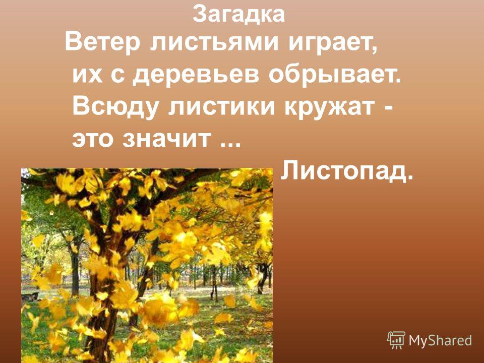 Загадка про листву: Загадки про листья для детей