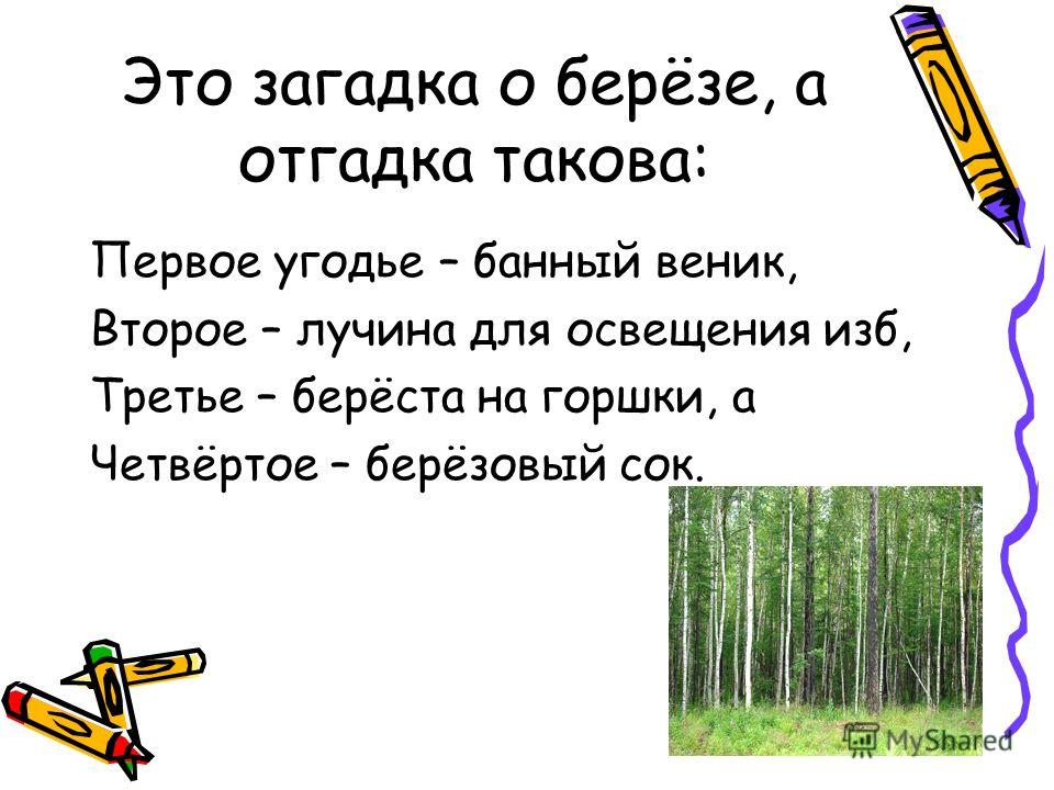 Загадки о березе для детей: Загадки про березу с ответами