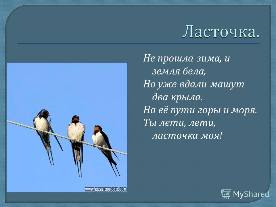 Крылышки у ласточки это ветерок песня: Ляпис Трубецкой: Крылышки у ласточки