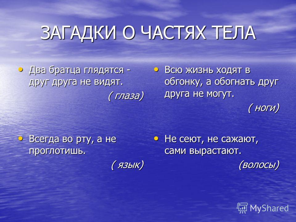 Загадки с ответами про части тела человека: Загадки про руки для детей