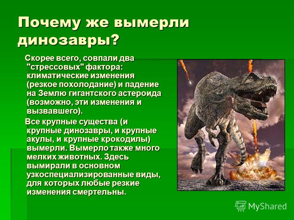 Динозавры вымерли в каком периоде: 11 различных видов динозавров | New-Science.ru