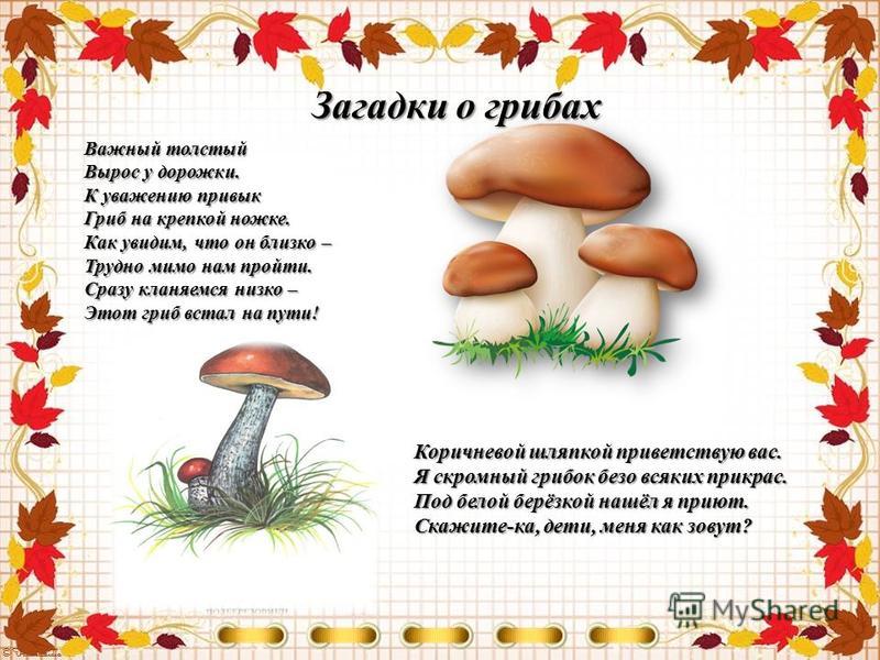 Загадка про грибы и ягоды: Загадки про ягоды и грибы часть 2