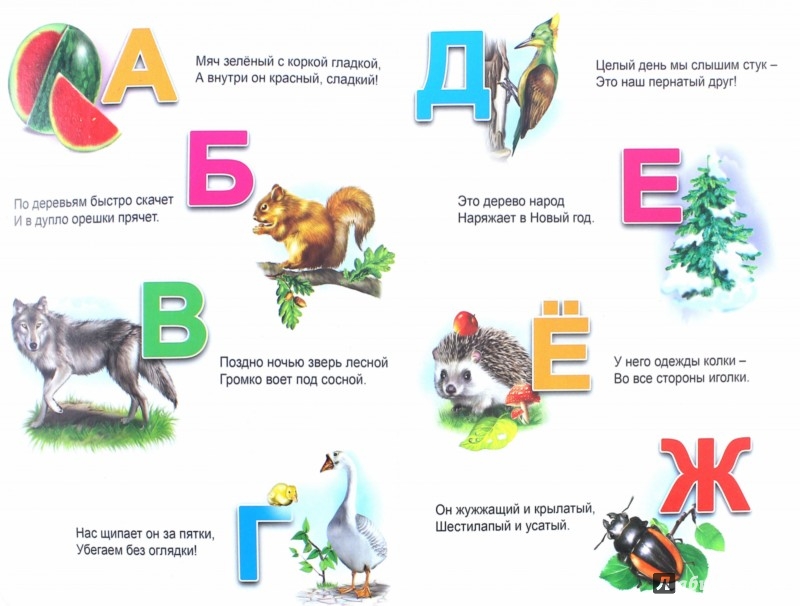 Загадки про животных 1 класс: Загадки про животных для 1 класса с ответами, короткие