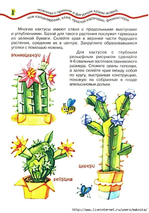 Загадки для детей про кактус: Загадки про кактус для детей с ответами
