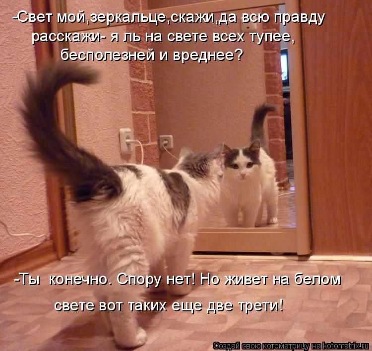 Свет мой зеркальце скажи да всю: , ! : , ? – Dslov.ru