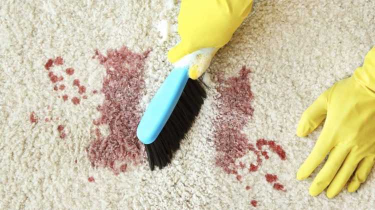 Как отмыть кровь с ковра: Чем отмыть кровь с ковра – 6 способов от Pro Carpet