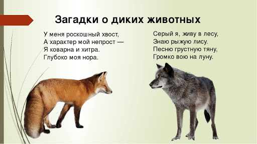 Загадки про животных для 2 класса с ответами сложные: Загадки про животных для 2 класса с ответами, короткие