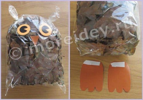 Поделка сова в пакете: Сова из листьев своими руками: как сделать поделку сову из листьев в пакете, осенняя поделка