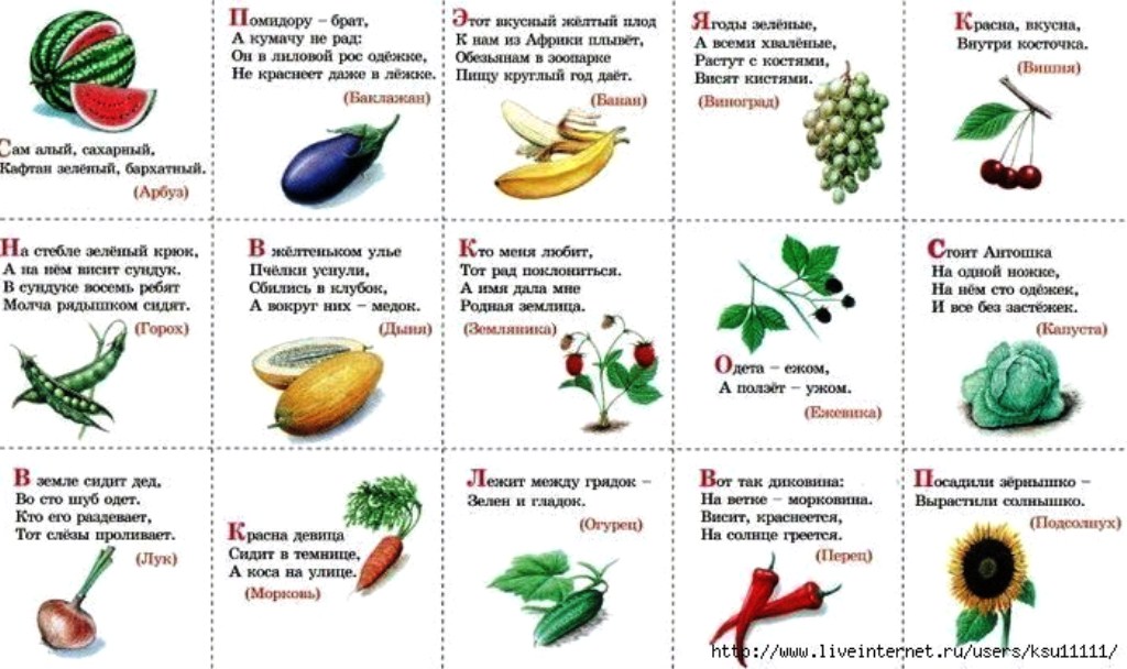Загадки про овощи и фрукты для детей 5 6 лет с ответами короткие: 100 загадок про овощи для детей и взрослых с ответами